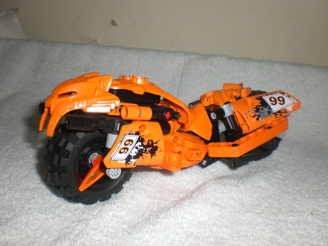 moto_tiger.jpg