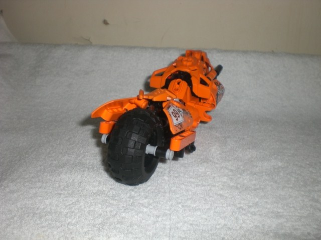 moto_tiger_back.jpg