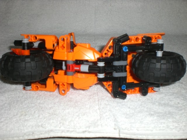 moto_tiger_below.jpg
