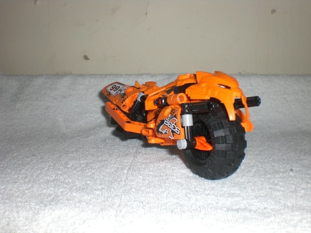 moto_tiger_front.jpg