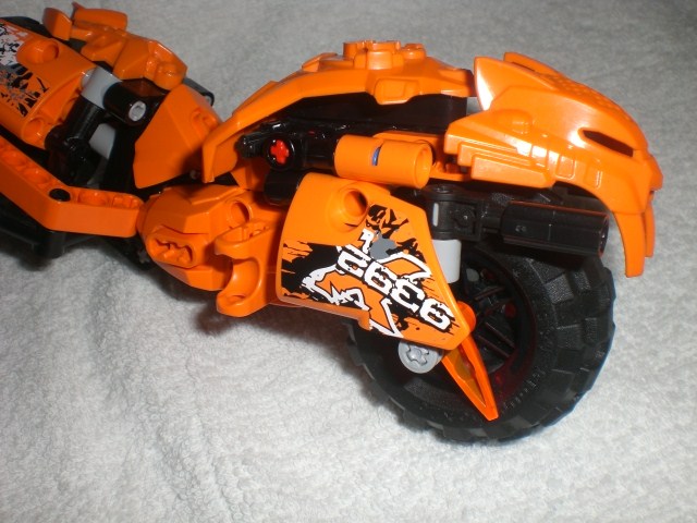 moto_tiger_head.jpg