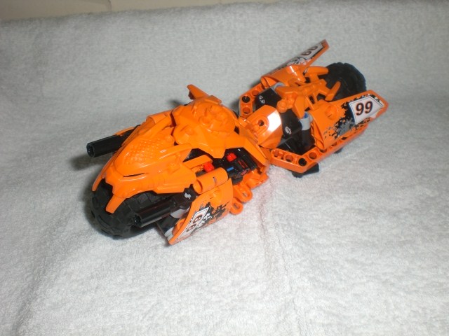 moto_tiger_pose.jpg