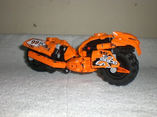 moto_tiger_side.jpg
