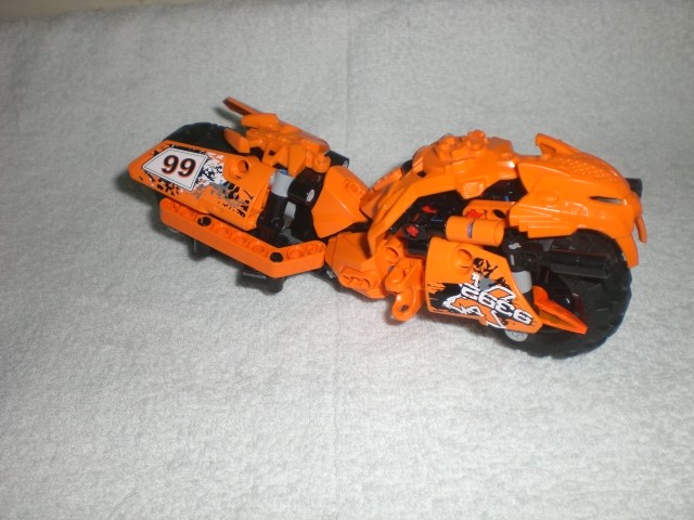 moto_tiger_side_2.jpg