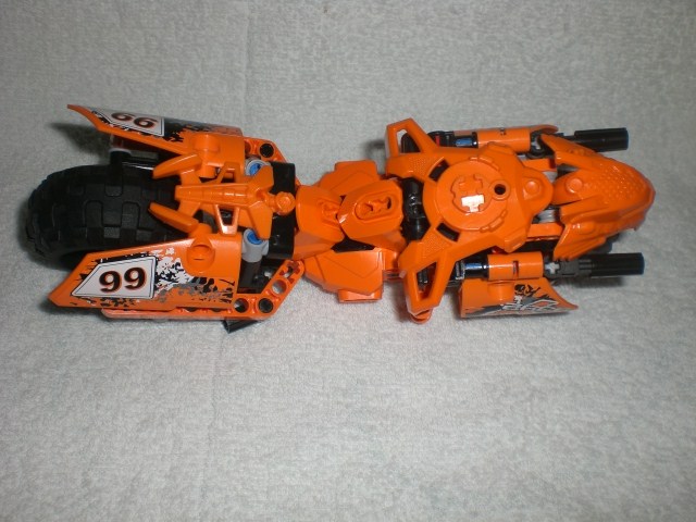 moto_tiger_top.jpg