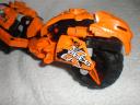 moto_tiger_head.jpg