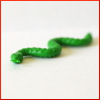 green_snake.jpg