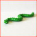 green_snake.jpg