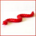 red_snake.jpg