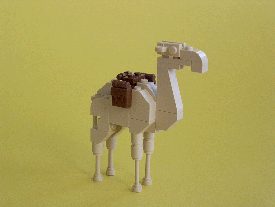 camel1.gif