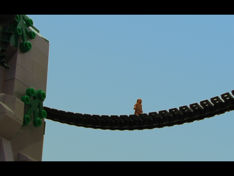 bone-cage-bridge.jpg