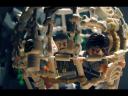 bone-cage-04.jpg