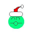 flickran_in_santa_hat.bmp