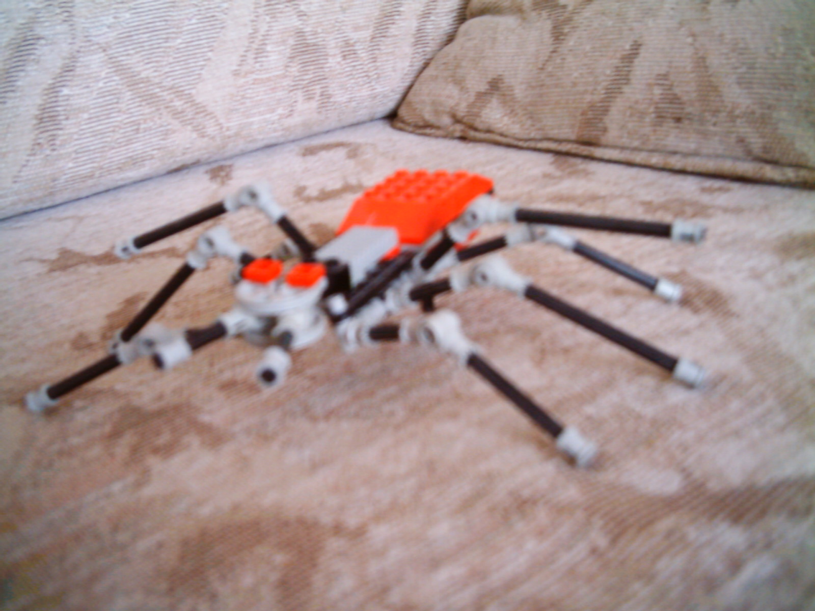 tarantula2.jpg