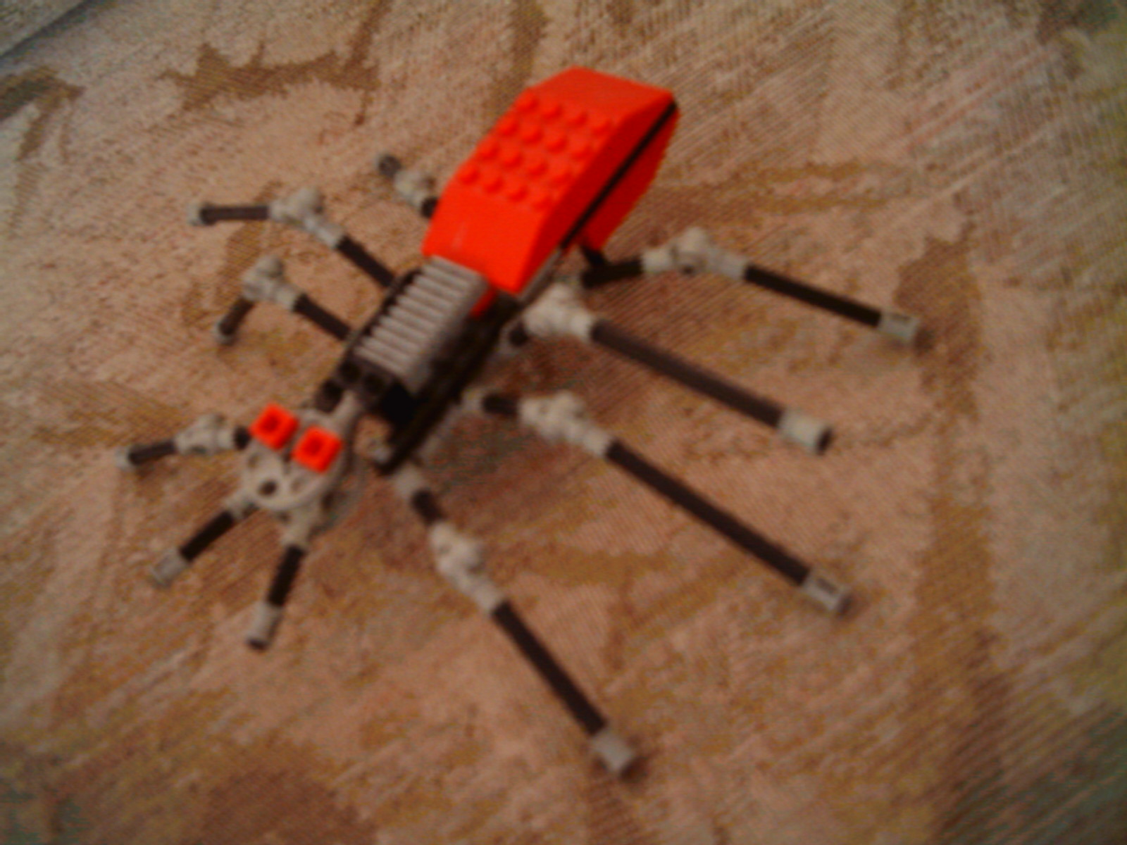 tarantula3.jpg