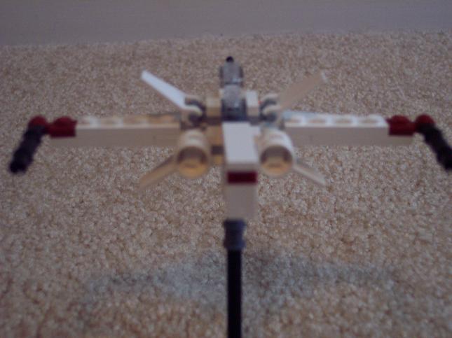 100_2978.jpg