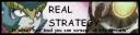real_strategy.png