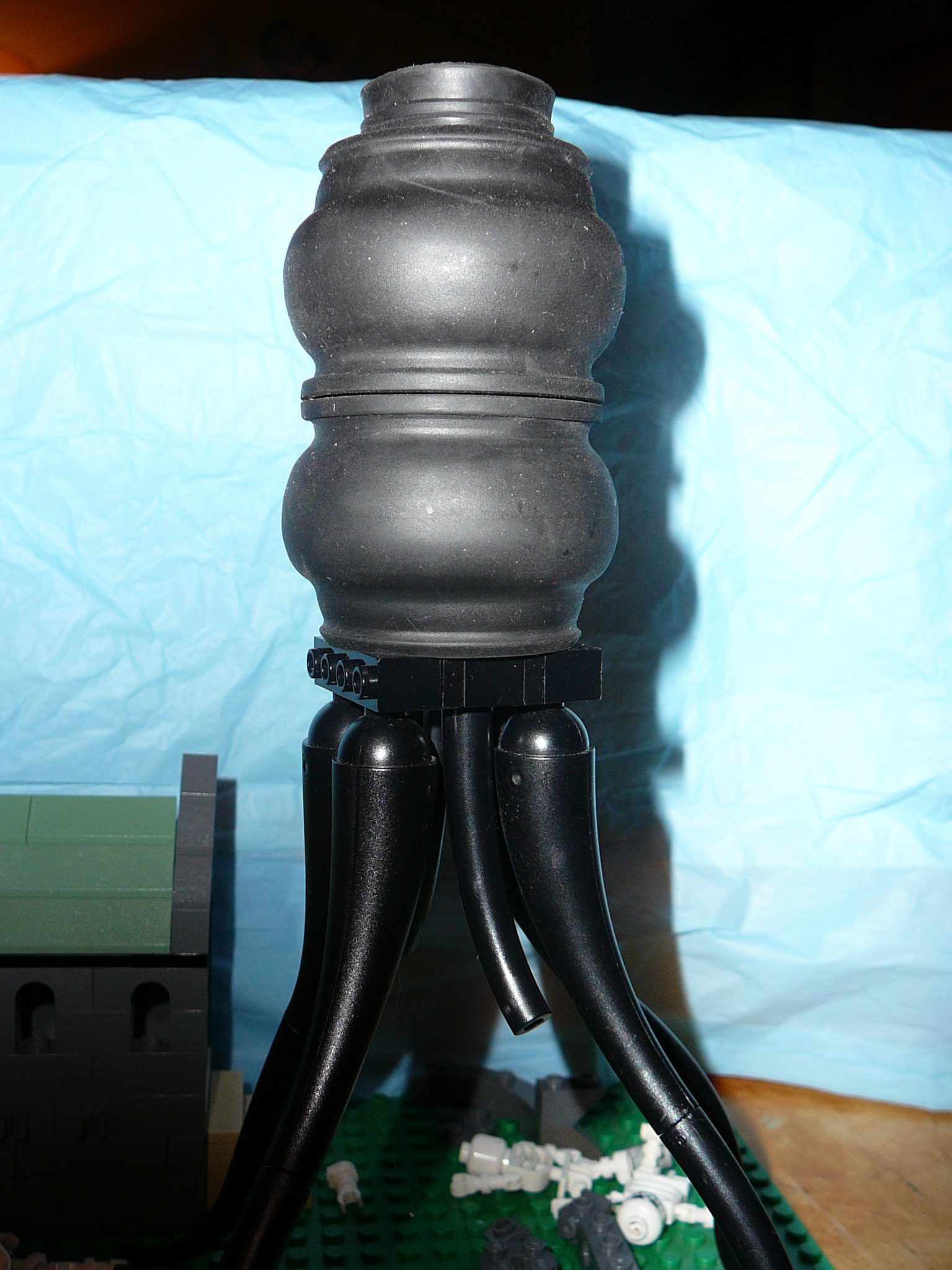 skunky_049.jpg