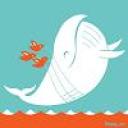 whale_avatar_2.jpg