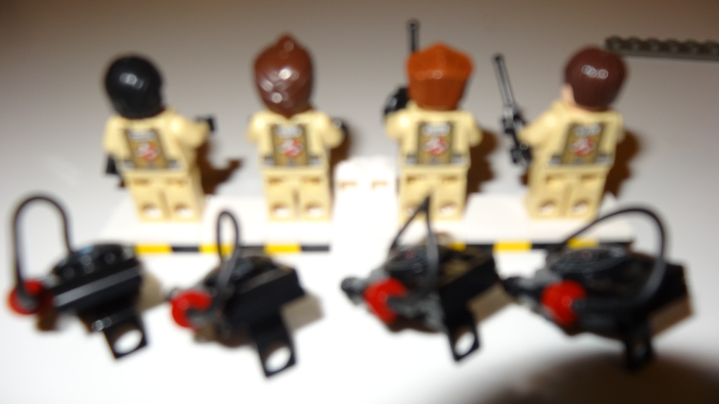 dsc00923.jpg