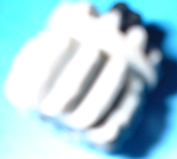dscf0008.jpg
