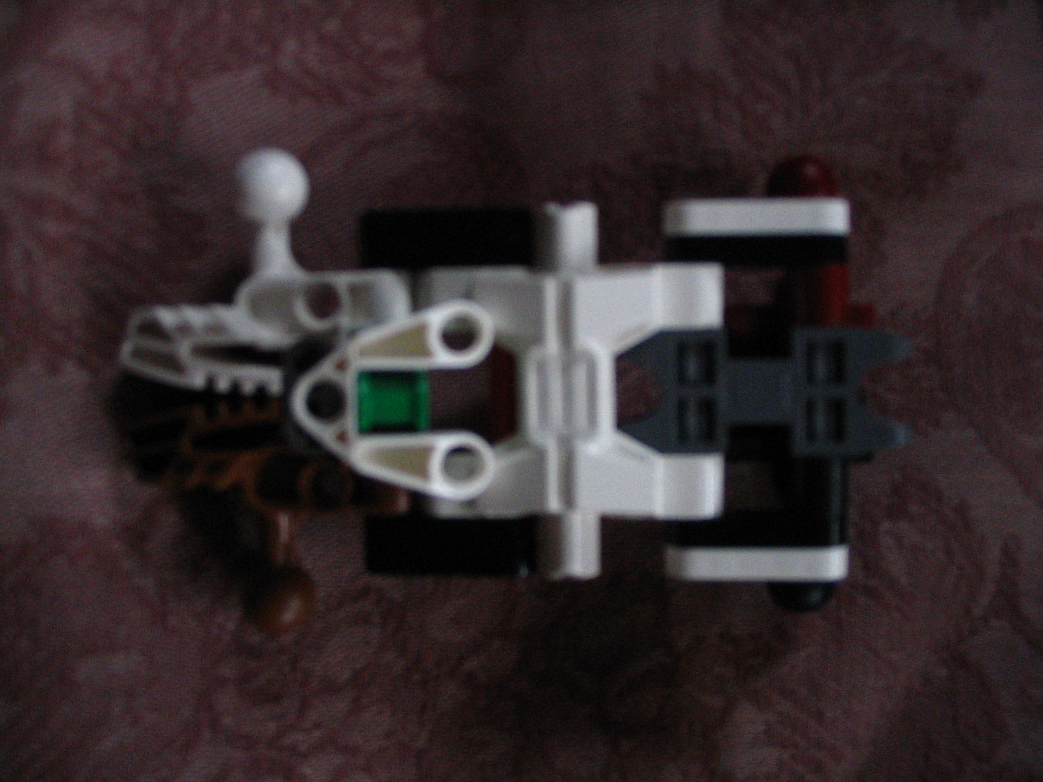 torso1.jpg