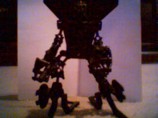 makuta1.jpg