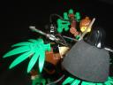 14-surrounded.jpg