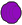 stud-purple.png