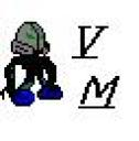 vm.jpg