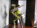 bionicle7_031.jpg