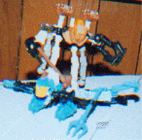 toa-turaga1.gif