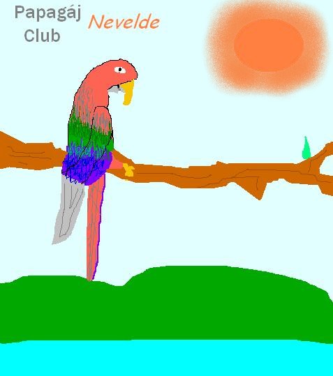 papagajclubnevelde.jpg