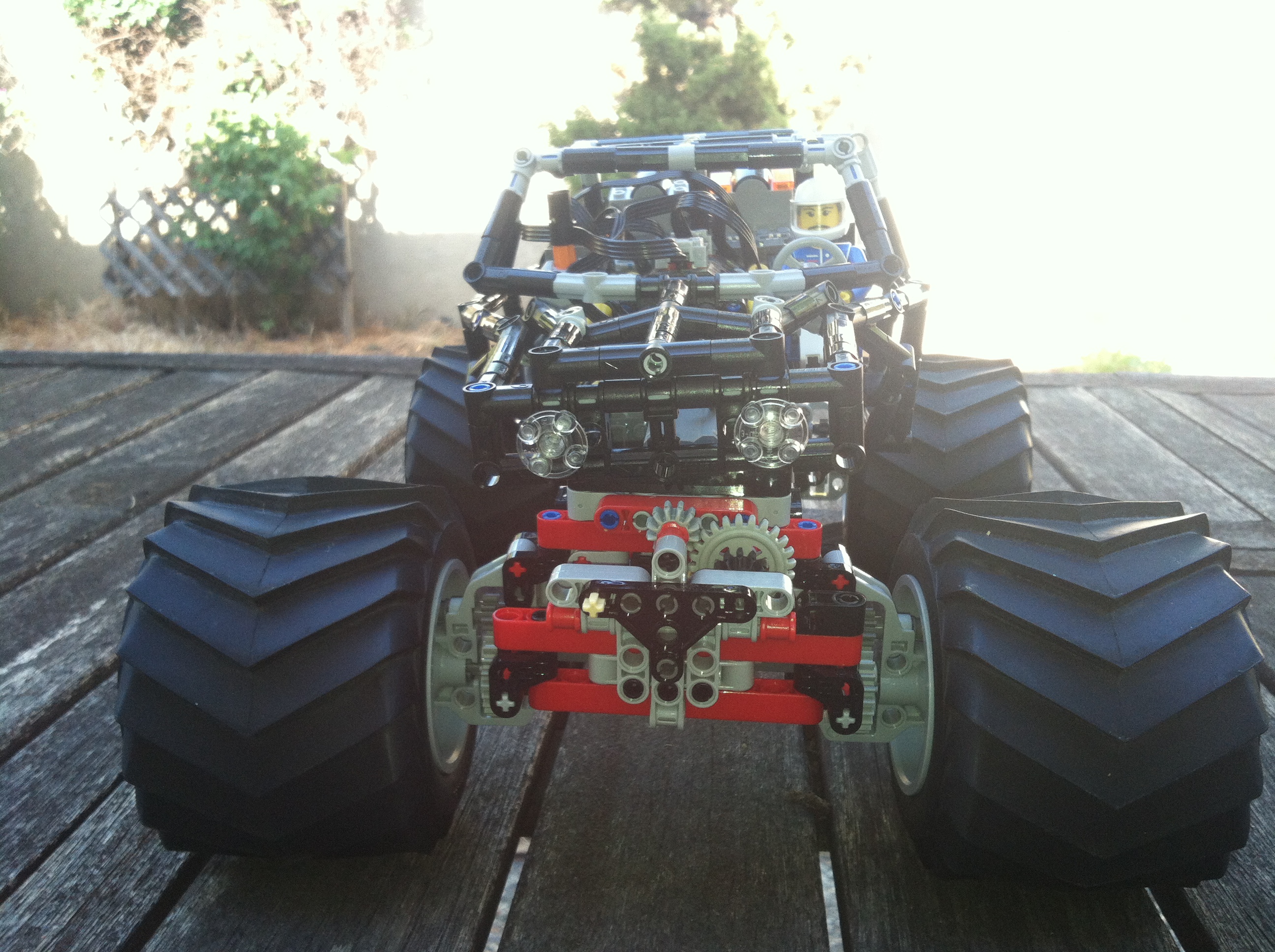 tarantula_1.jpg