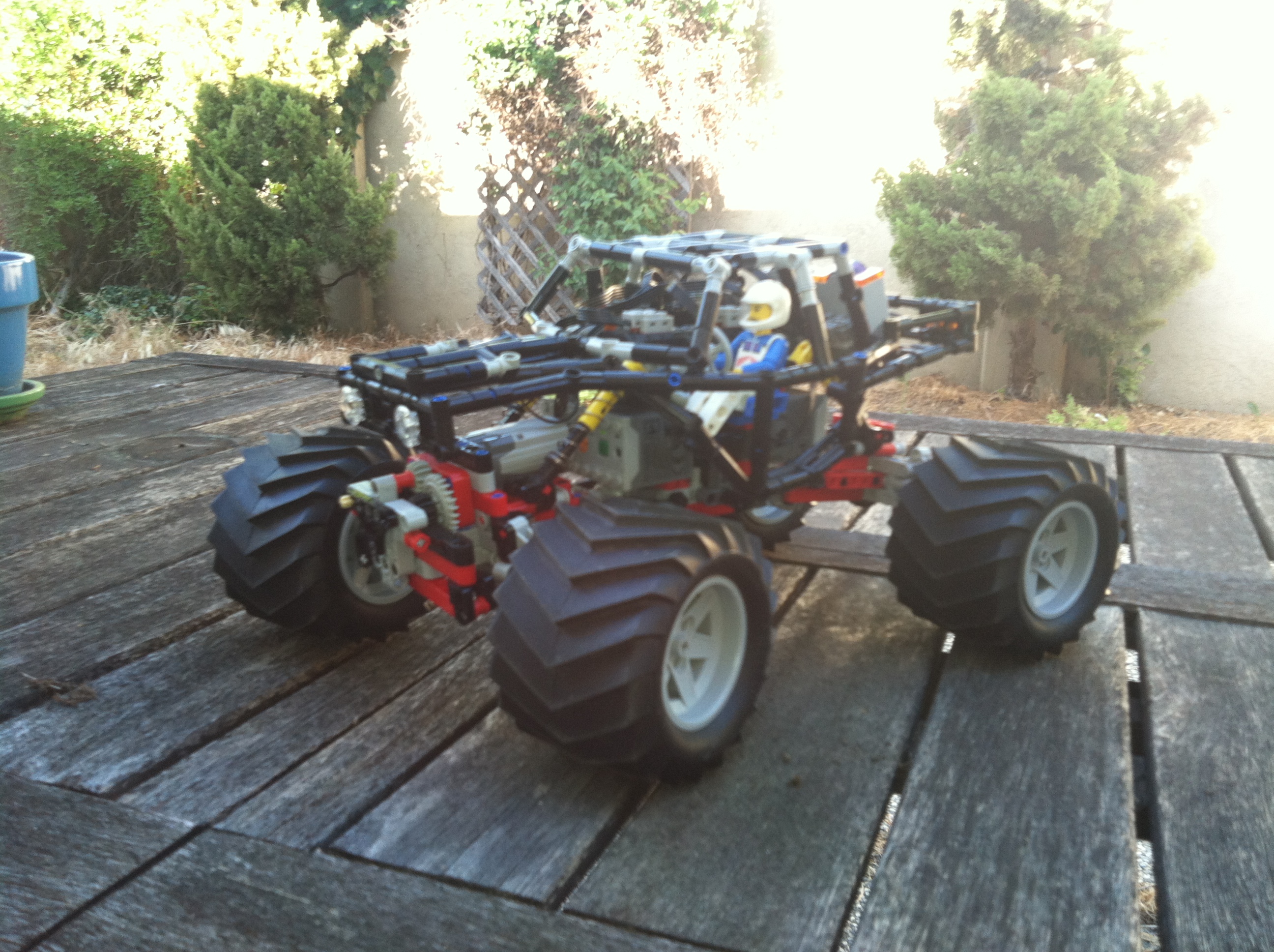 tarantula_10.jpg