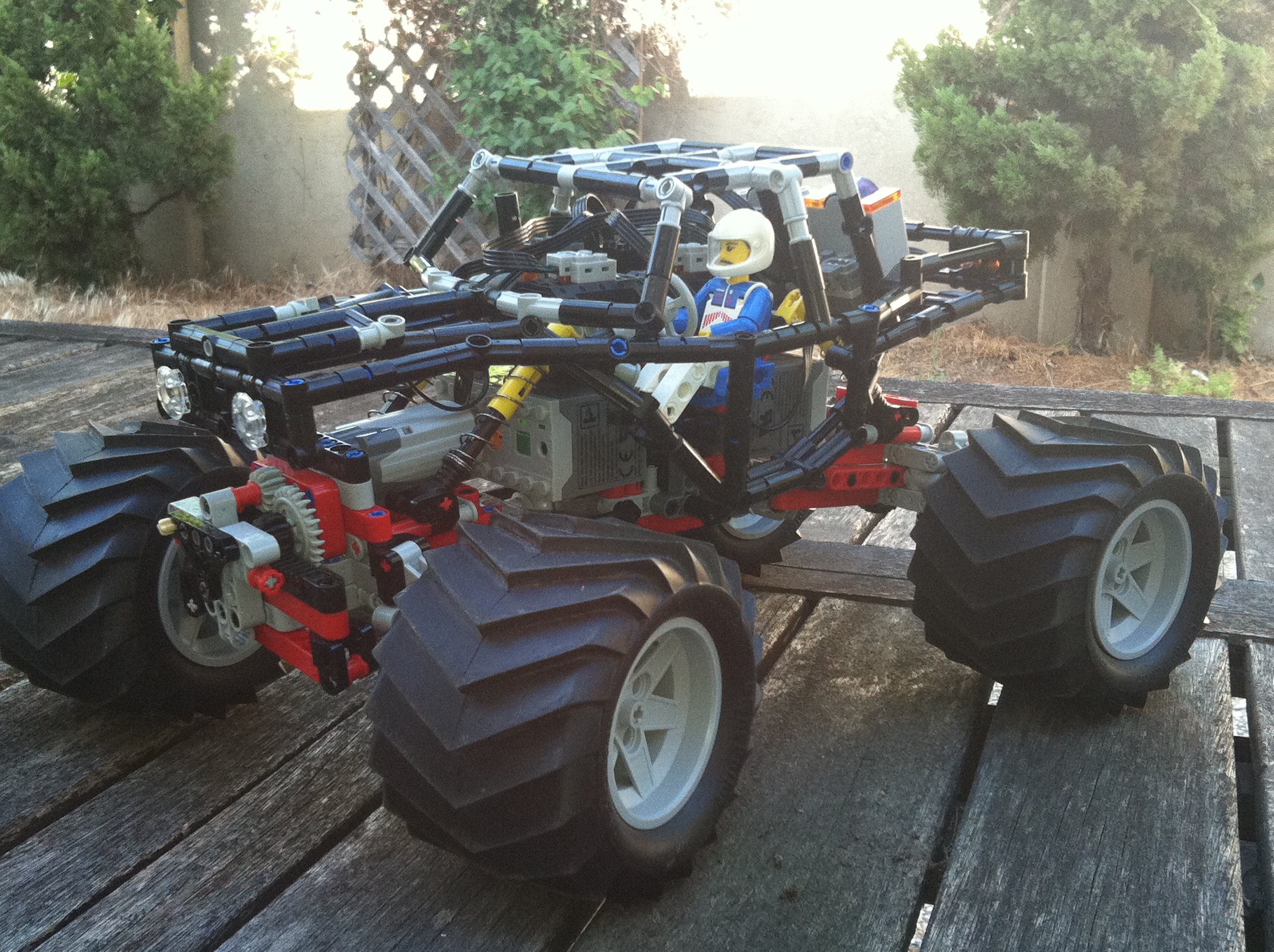 tarantula_11.jpg