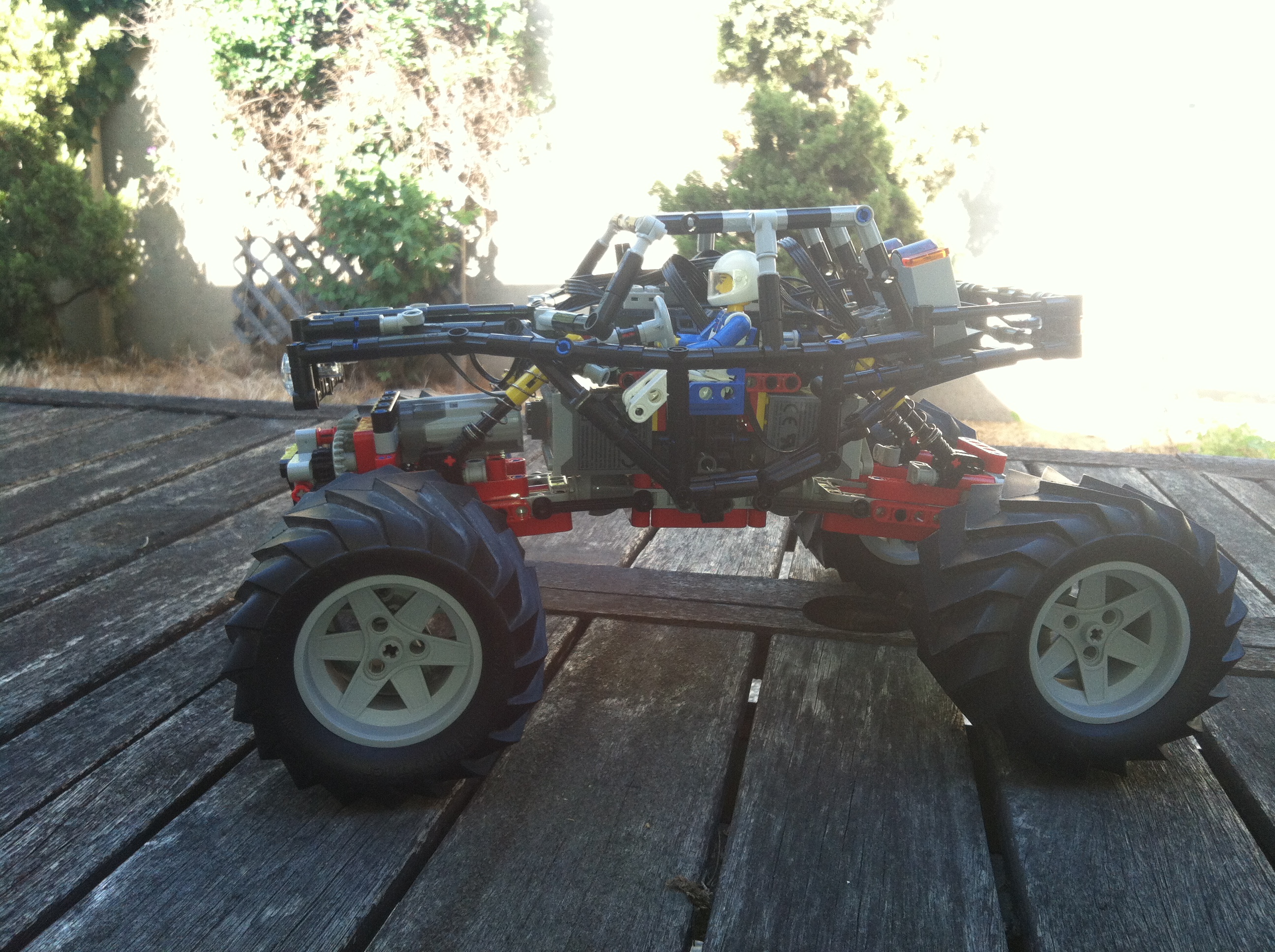 tarantula_3.jpg