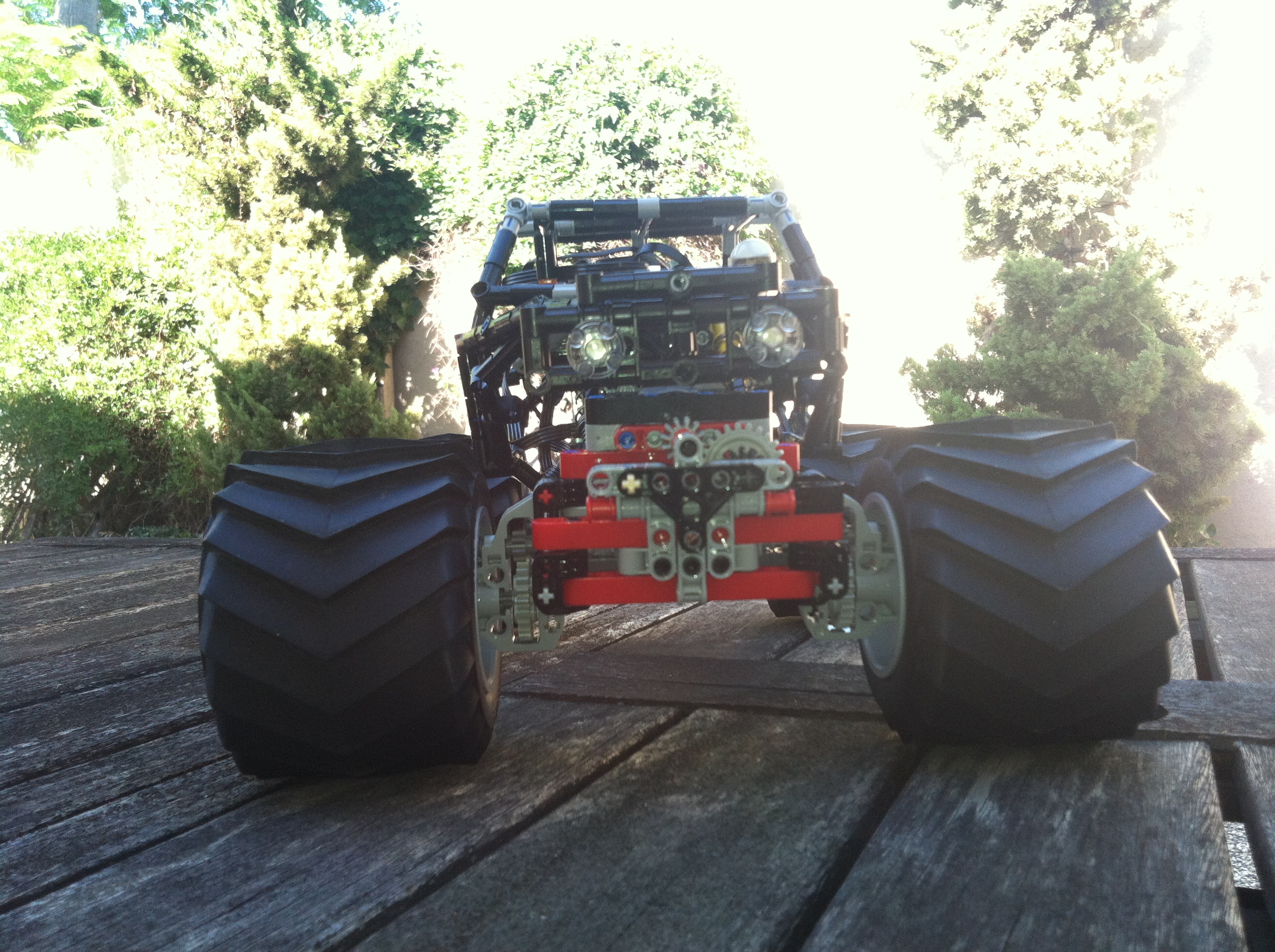 tarantula_7.jpg