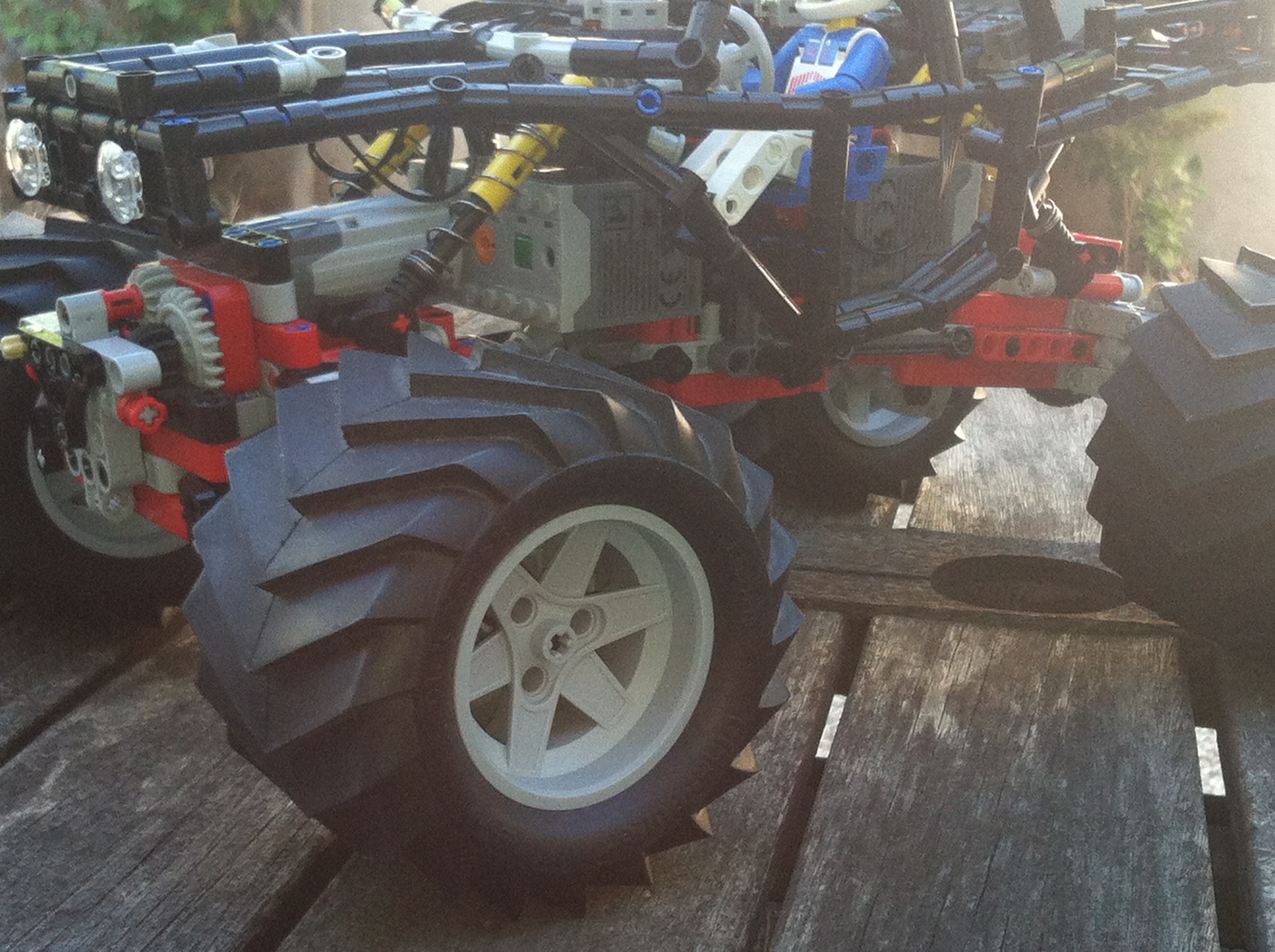 tarantula_8.jpg