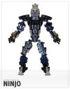 BBC37-Ninjo