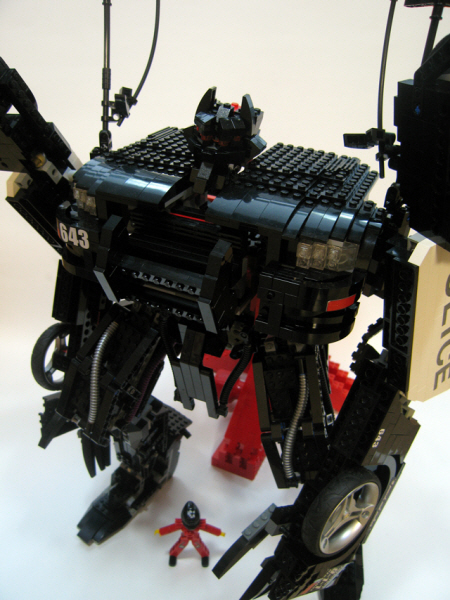 t5.jpg