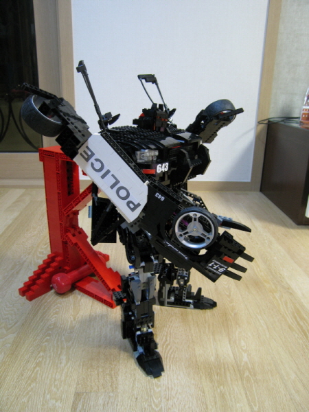t7.jpg