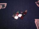 lego_3648_favorit_11.jpg