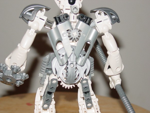 toa-back-light.jpg
