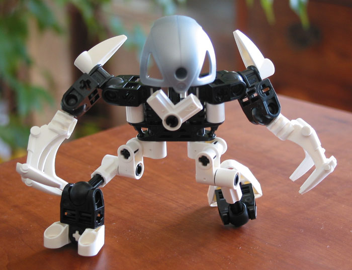 phyto2.jpg