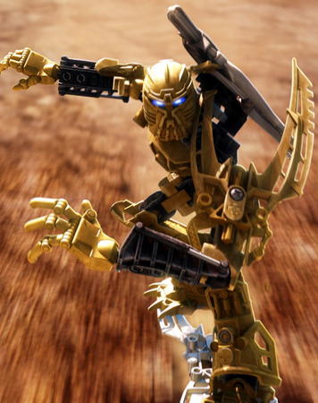 mata_nui_surfing.jpg