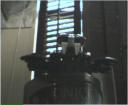 vampire_bohrok2.gif