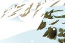 snowyplacebackground.bmp