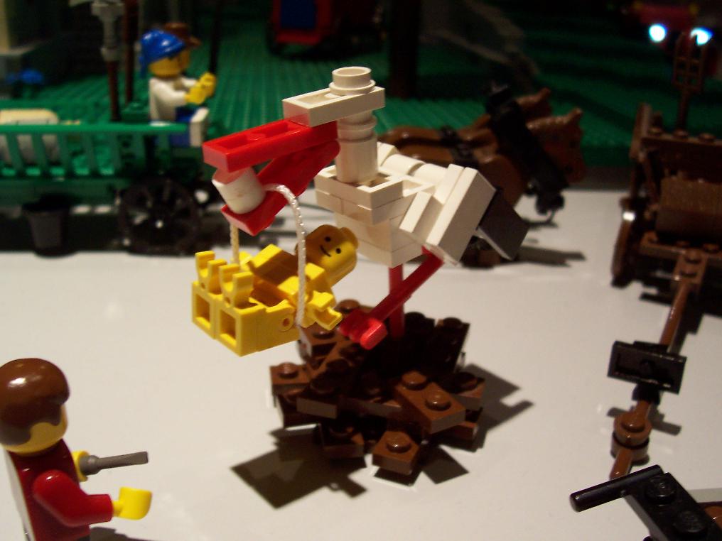 100_0062.jpg