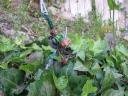 dscf0390.jpg
